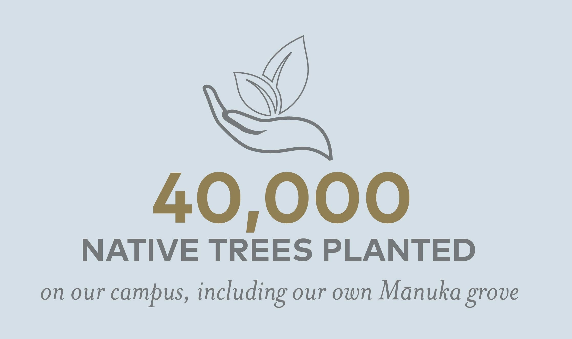 40000 native trees planted on our campus