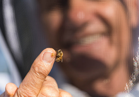 beekeeper smiling with bee on finger