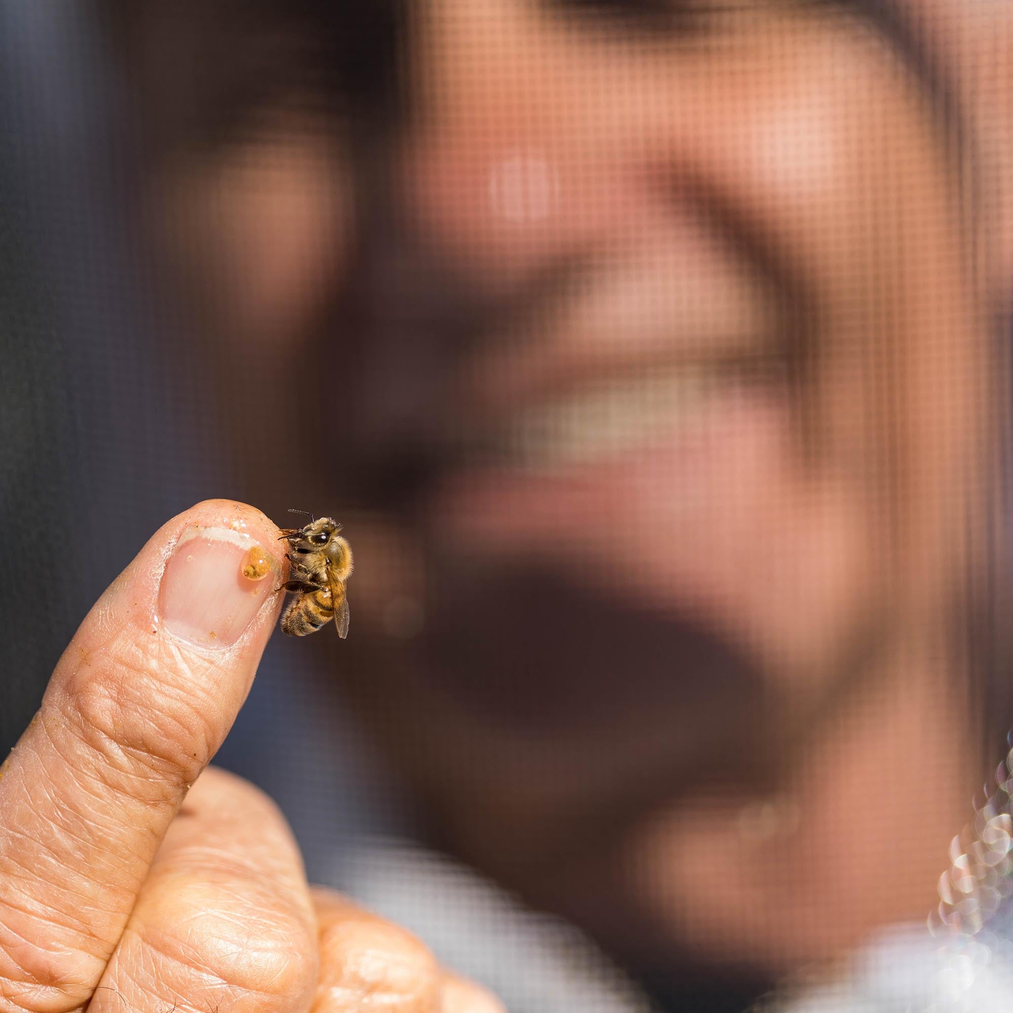 alan with bee on his finger