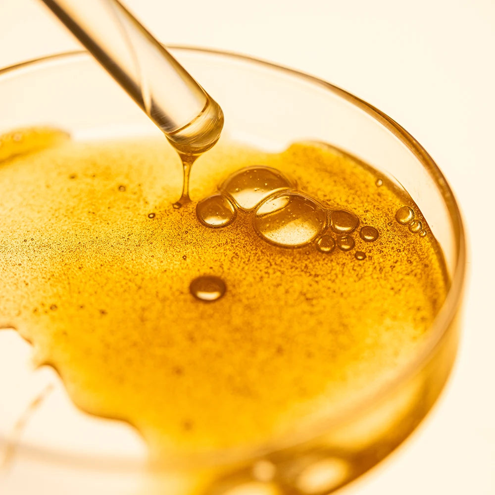 manuka honey in a petrie dish