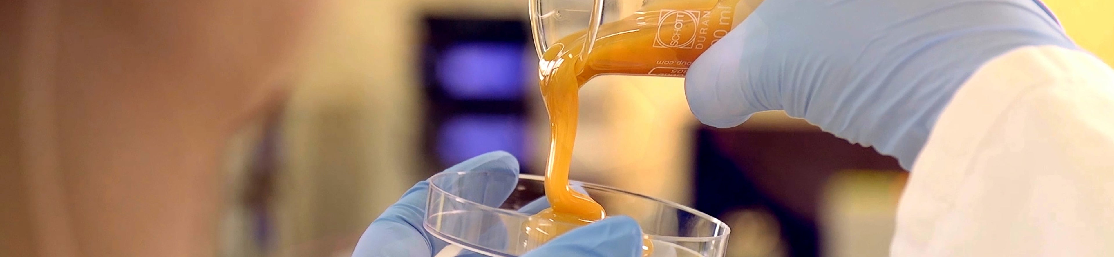 honey pouring into a petri dish