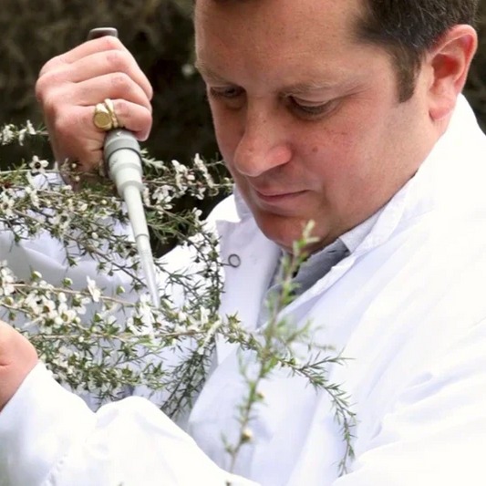 UK Scientist examines New Zealand Manuka Flower