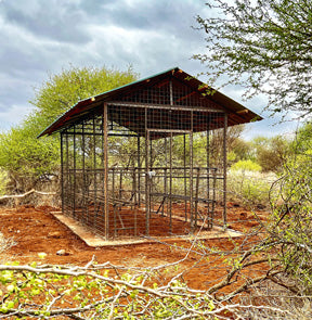 Bee House