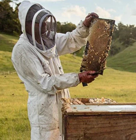 Beekeeper with honey out of the hive