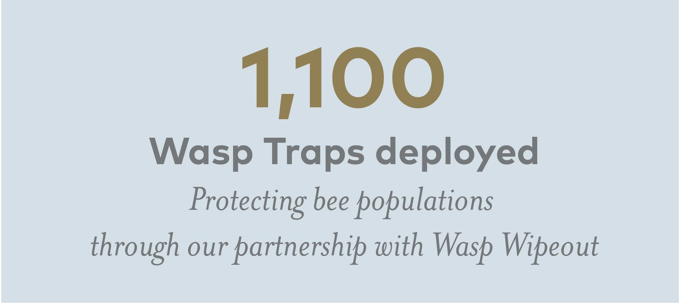 1100 wasp traps deployed